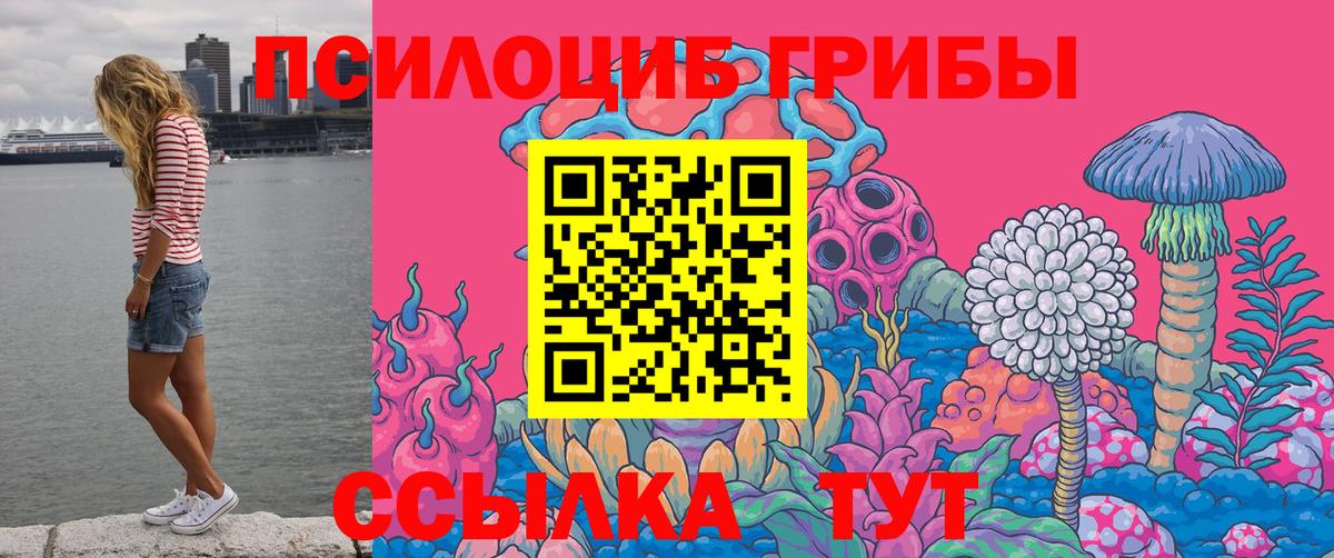 Псилоцибиновые грибы GOLDEN TEACHER Пушкино